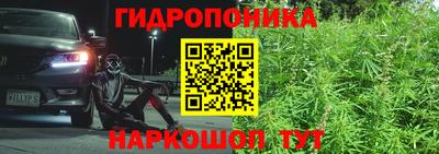 бошки Гусев