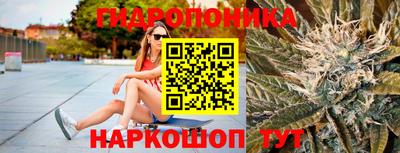 бошки Гусев